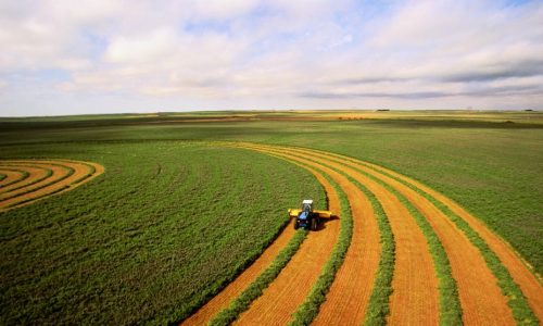 Cómo solicitar las ayudas para inversiones en la industria agroalimentaria en Extremadura
