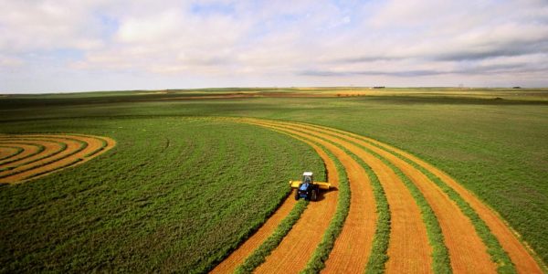 Cómo solicitar las ayudas para inversiones en la industria agroalimentaria en Extremadura